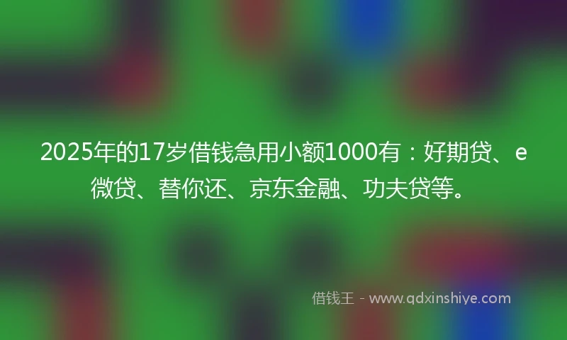 2025年的17岁借钱急用小额1000有：好期贷、e微贷、替你还、京东金融、功夫贷等。