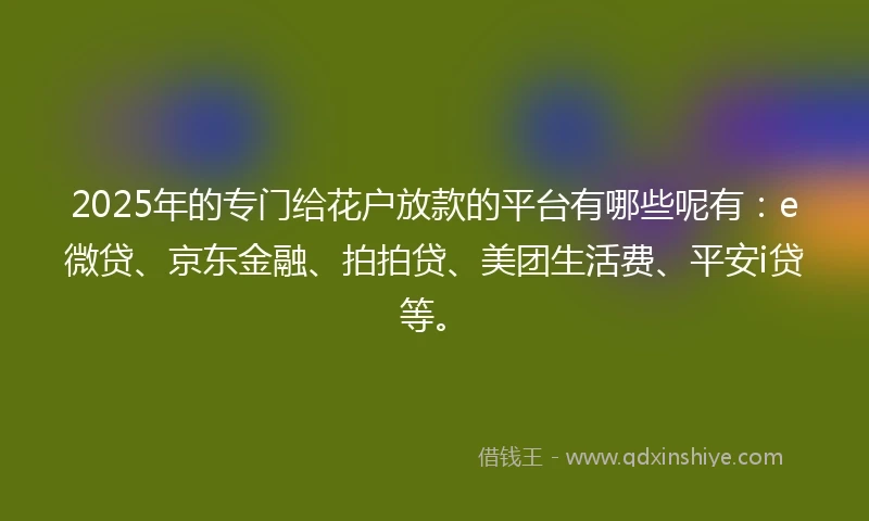 2025年的专门给花户放款的平台有哪些呢有：e微贷、京东金融、拍拍贷、美团生活费、平安i贷等。