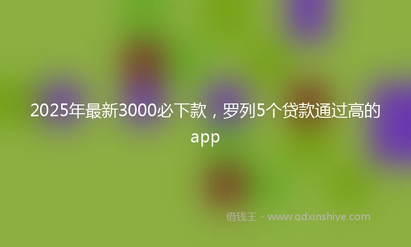 2025年最新3000必下款，罗列5个贷款通过高的app