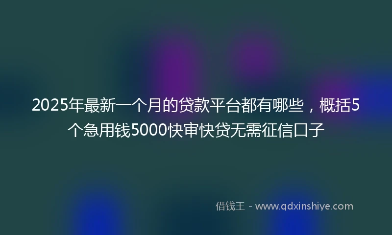 2025年最新一个月的贷款平台都有哪些，概括5个急用钱5000快审快贷无需征信口子