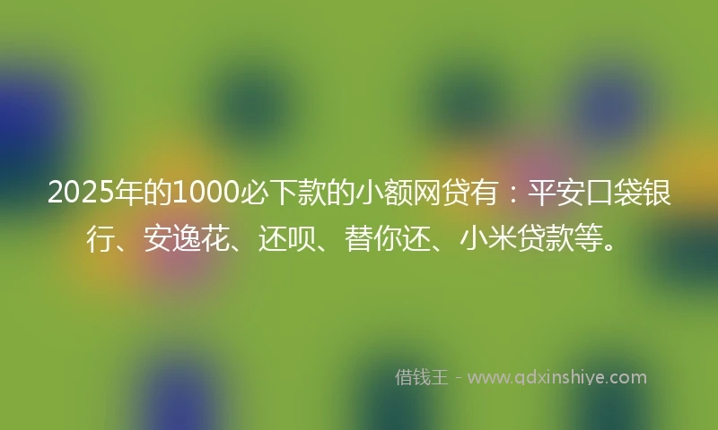 2025年的1000必下款的小额网贷有：平安口袋银行、安逸花、还呗、替你还、小米贷款等。