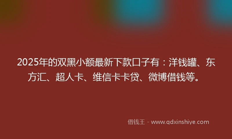 2025年的双黑小额最新下款口子有：洋钱罐、东方汇、超人卡、维信卡卡贷、微博借钱等。