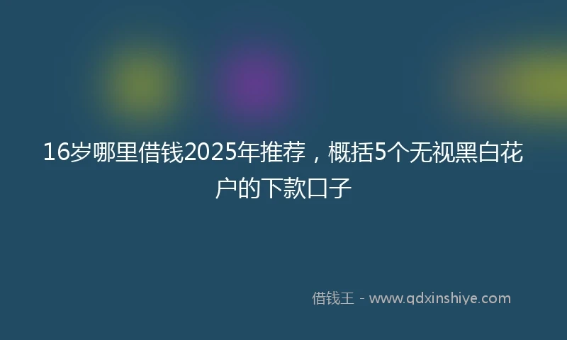 16岁哪里借钱2025年推荐，概括5个无视黑白花户的下款口子