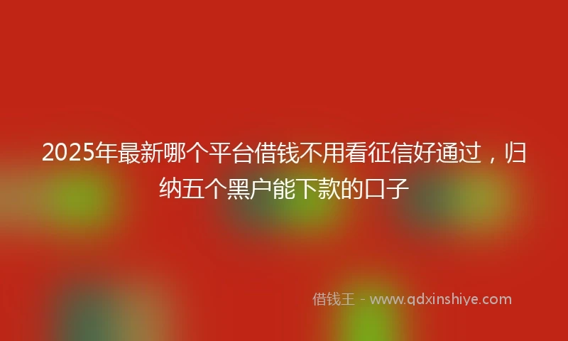 2025年最新哪个平台借钱不用看征信好通过，归纳五个黑户能下款的口子