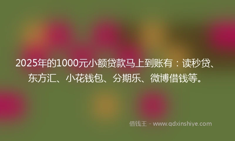 2025年的1000元小额贷款马上到账有：读秒贷、东方汇、小花钱包、分期乐、微博借钱等。