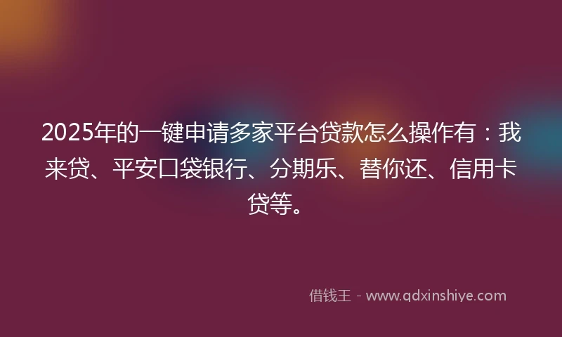 2025年的一键申请多家平台贷款怎么操作有：我来贷、平安口袋银行、分期乐、替你还、信用卡贷等。