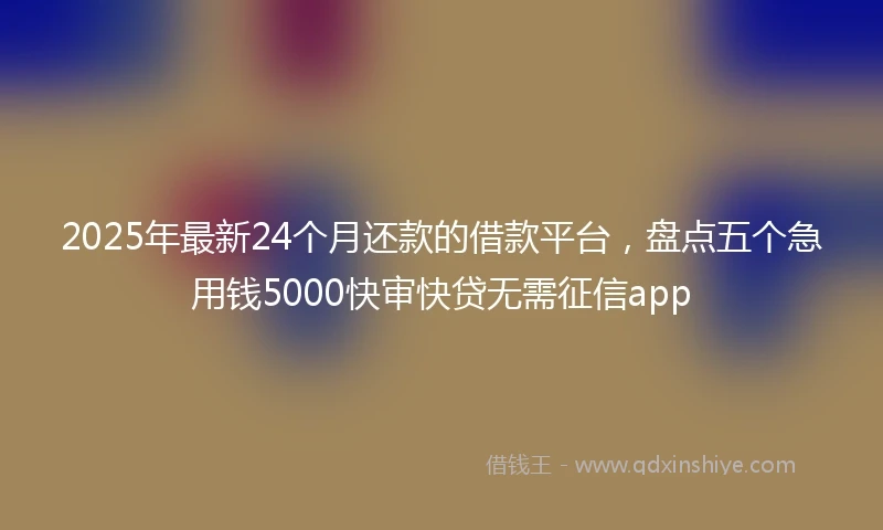 2025年最新24个月还款的借款平台，盘点五个急用钱5000快审快贷无需征信app