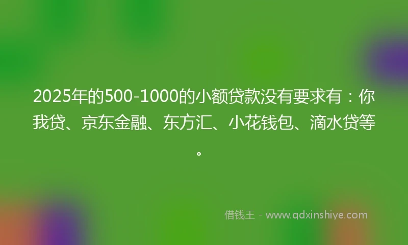 2025年的500-1000的小额贷款没有要求有:你我贷、京东金融、东方汇、小花钱包、滴水贷等。
