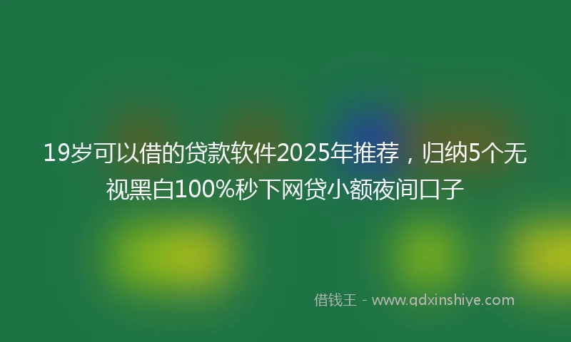 19岁可以借的贷款软件2025年推荐，归纳5个无视黑白100%秒下网贷小额夜间口子