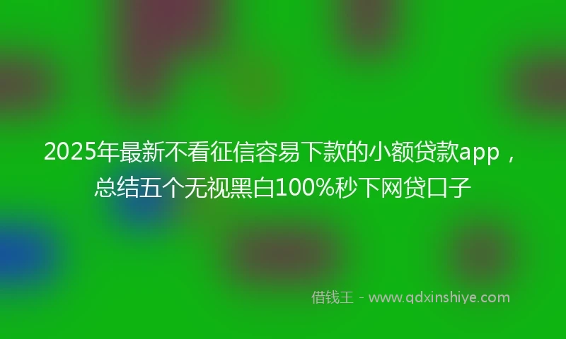 2025年最新不看征信容易下款的小额贷款app，总结五个无视黑白100%秒下网贷口子