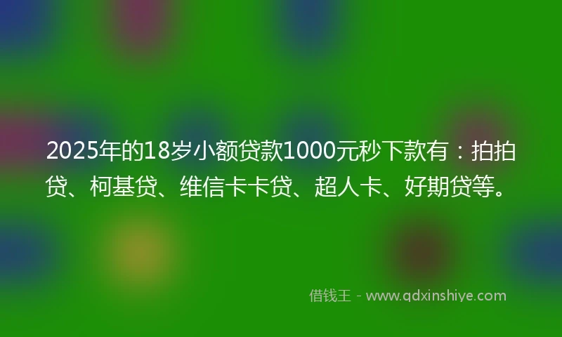 2025年的18岁小额贷款1000元秒下款有：拍拍贷、柯基贷、维信卡卡贷、超人卡、好期贷等。