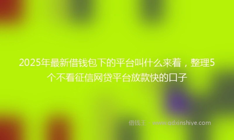 2025年最新借钱包下的平台叫什么来着，整理5个不看征信网贷平台放款快的口子