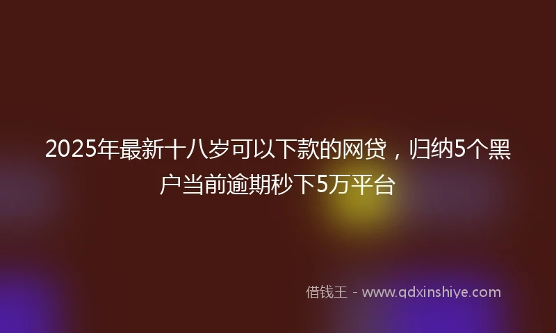 2025年最新十八岁可以下款的网贷，归纳5个黑户当前逾期秒下5万平台