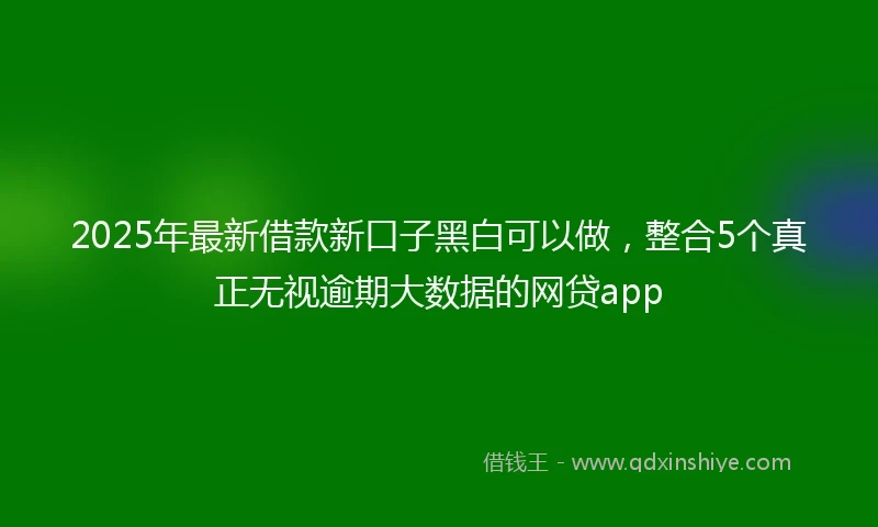 2025年最新借款新口子黑白可以做，整合5个真正无视逾期大数据的网贷app