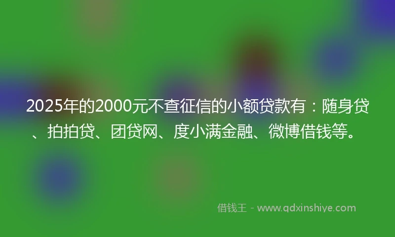 2025年的2000元不查征信的小额贷款有：随身贷、拍拍贷、团贷网、度小满金融、微博借钱等。