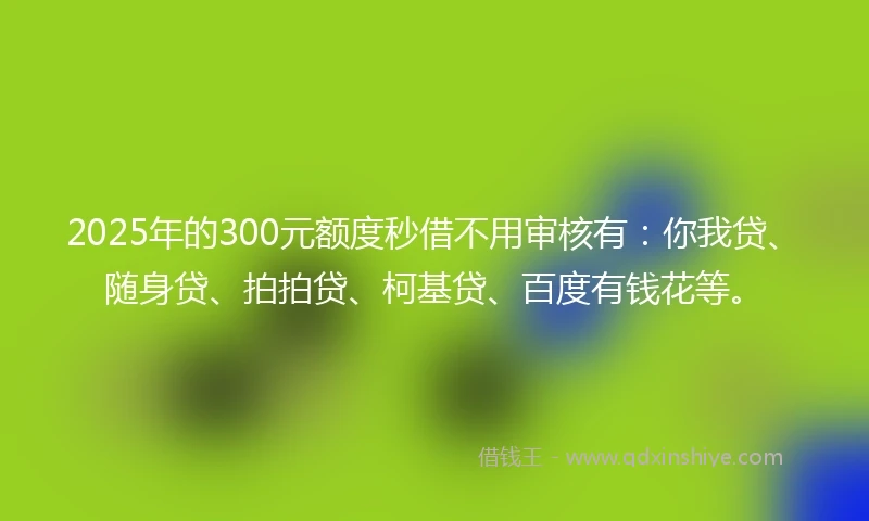2025年的300元额度秒借不用审核有：你我贷、随身贷、拍拍贷、柯基贷、百度有钱花等。