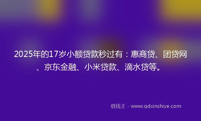 2025年的17岁小额贷款秒过有：惠商贷、团贷网、京东金融、小米贷款、滴水贷等。