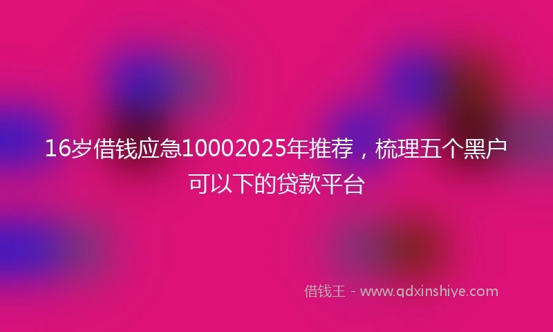16岁借钱应急10002025年推荐，梳理五个黑户可以下的贷款平台