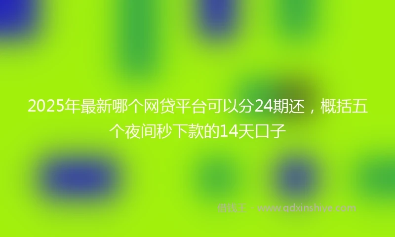 2025年最新哪个网贷平台可以分24期还，概括五个夜间秒下款的14天口子