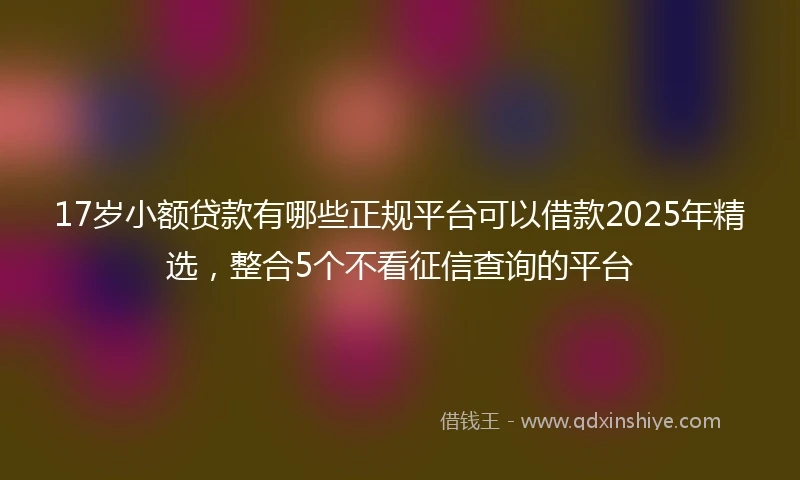17岁小额贷款有哪些正规平台可以借款2025年精选，整合5个不看征信查询的平台