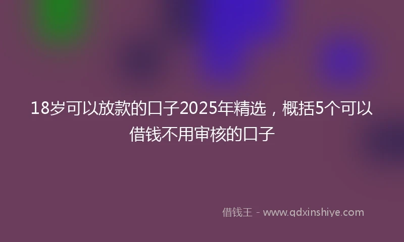 18岁可以放款的口子2025年精选，概括5个可以借钱不用审核的口子