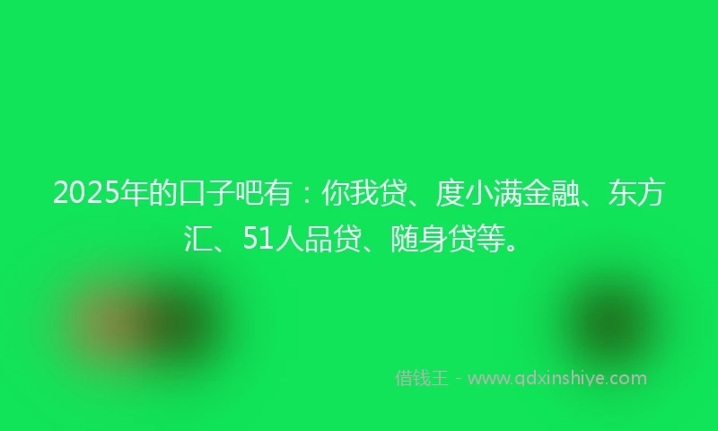 2025年的口子吧有：你我贷、度小满金融、东方汇、51人品贷、随身贷等。