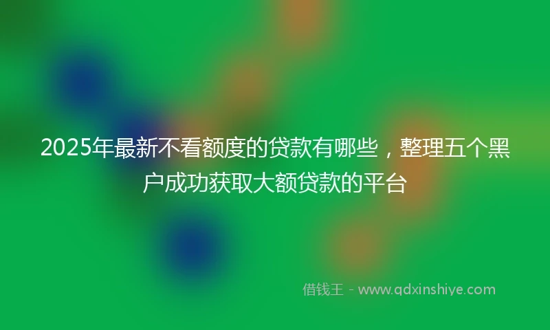 2025年最新不看额度的贷款有哪些，整理五个黑户成功获取大额贷款的平台