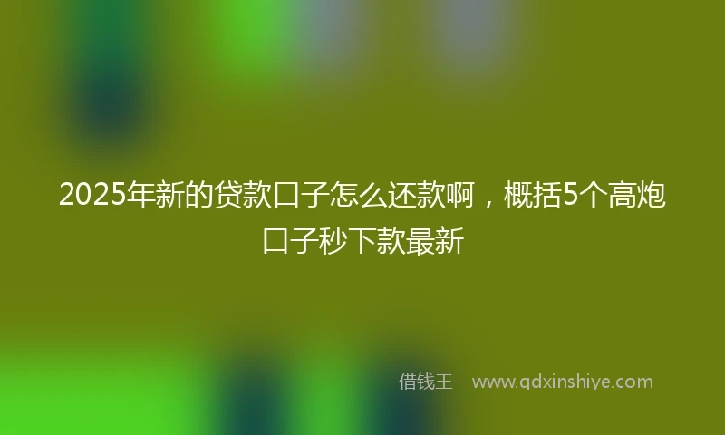 2025年新的贷款口子怎么还款啊，概括5个高炮口子秒下款最新