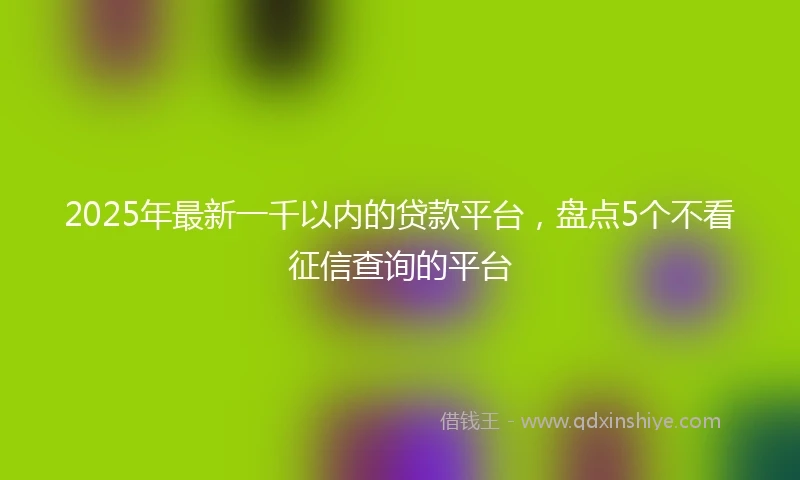 2025年最新一千以内的贷款平台，盘点5个不看征信查询的平台
