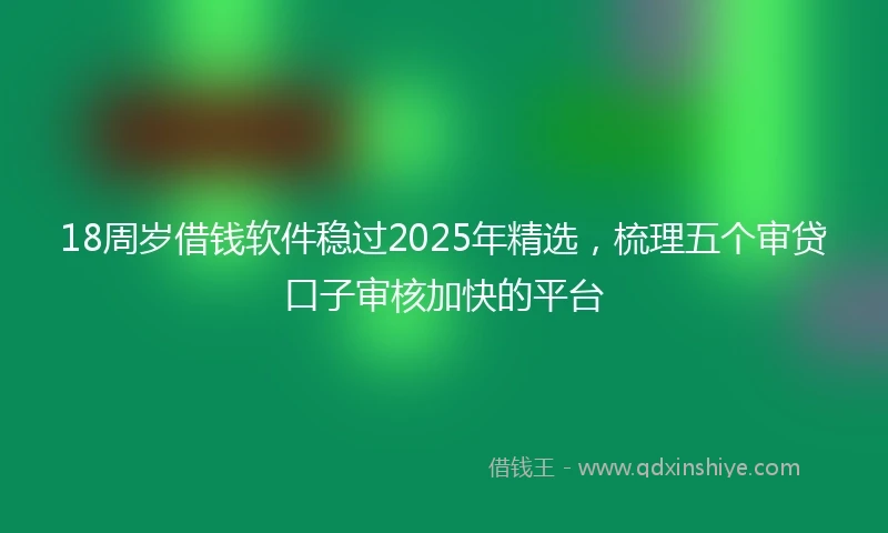 18周岁借钱软件稳过2025年精选，梳理五个审贷口子审核加快的平台