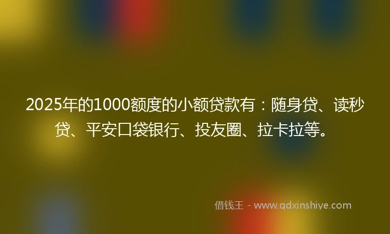 2025年的1000额度的小额贷款有：随身贷、读秒贷、平安口袋银行、投友圈、拉卡拉等。
