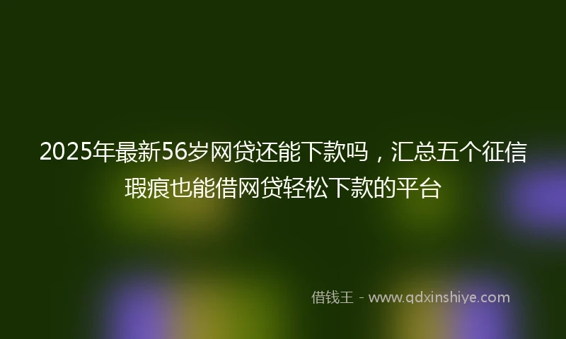 2025年最新56岁网贷还能下款吗，汇总五个征信瑕疵也能借网贷轻松下款的平台
