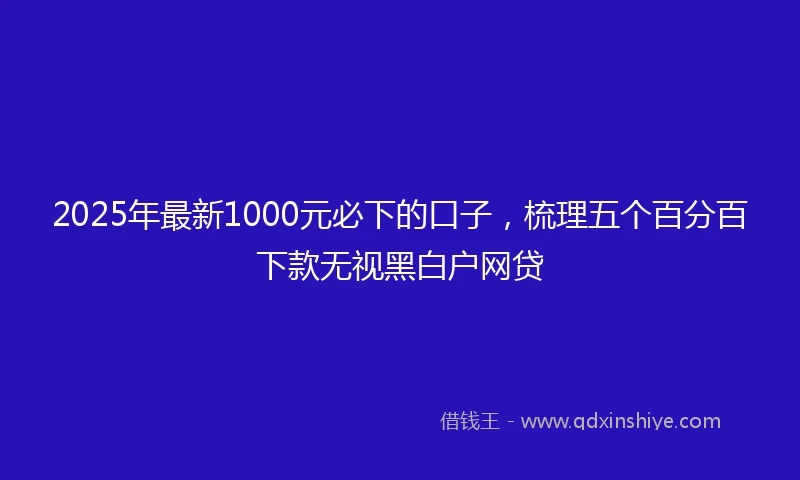 2025年最新1000元必下的口子，梳理五个百分百下款无视黑白户网贷