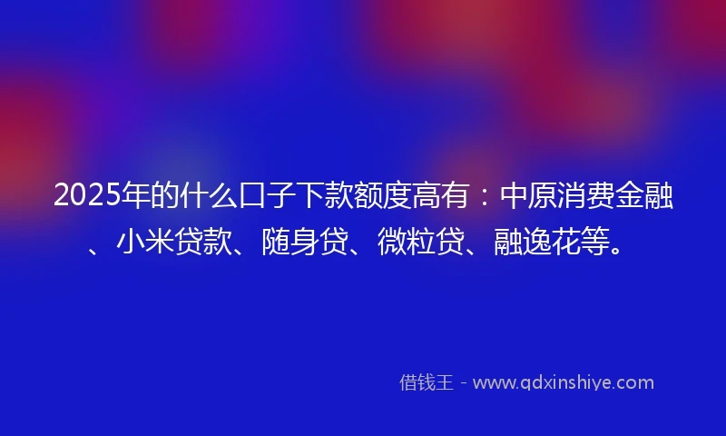2025年的什么口子下款额度高有：中原消费金融、小米贷款、随身贷、微粒贷、融逸花等。