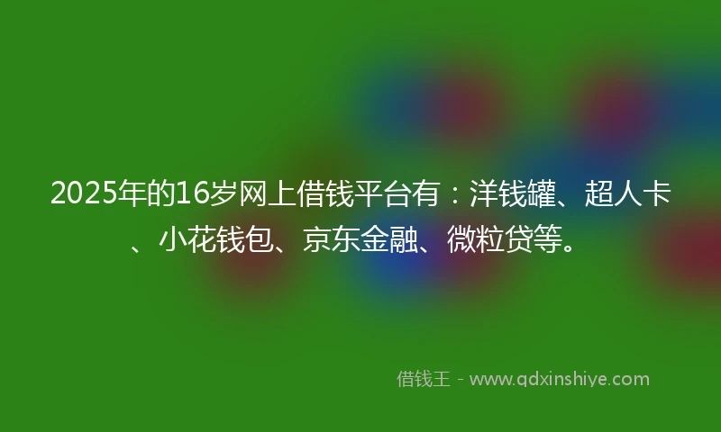 2025年的16岁网上借钱平台有：洋钱罐、超人卡、小花钱包、京东金融、微粒贷等。