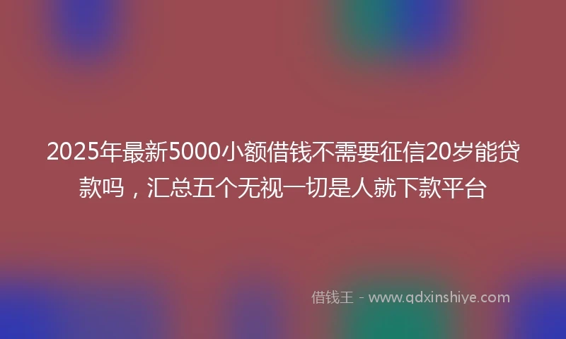 2025年最新5000小额借钱不需要征信20岁能贷款吗，汇总五个无视一切是人就下款平台