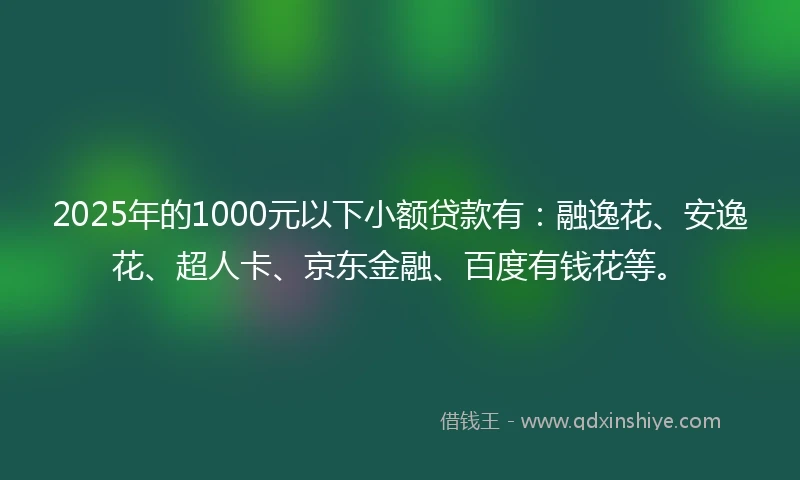 2025年的1000元以下小额贷款有：融逸花、安逸花、超人卡、京东金融、百度有钱花等。