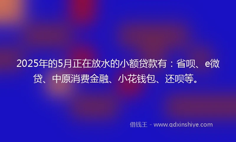 2025年的5月正在放水的小额贷款有：省呗、e微贷、中原消费金融、小花钱包、还呗等。