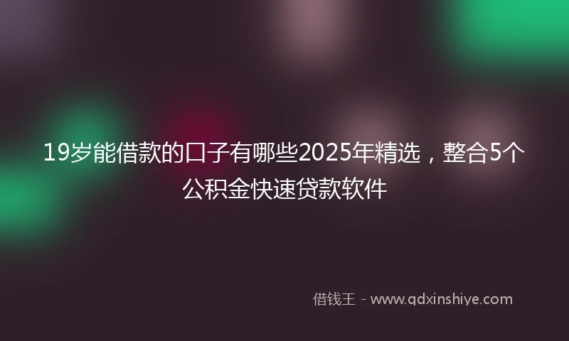 19岁能借款的口子有哪些2025年精选，整合5个公积金快速贷款软件