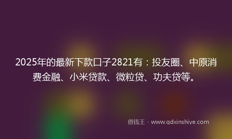 2025年的最新下款口子2821有：投友圈、中原消费金融、小米贷款、微粒贷、功夫贷等。