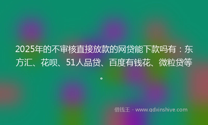 2025年的不审核直接放款的网贷能下款吗有：东方汇、花呗、51人品贷、百度有钱花、微粒贷等。