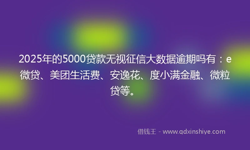 2025年的5000贷款无视征信大数据逾期吗有：e微贷、美团生活费、安逸花、度小满金融、微粒贷等。