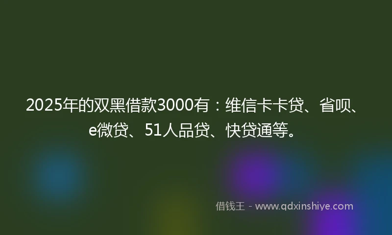 2025年的双黑借款3000有：维信卡卡贷、省呗、e微贷、51人品贷、快贷通等。