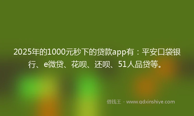 2025年的1000元秒下的贷款app有：平安口袋银行、e微贷、花呗、还呗、51人品贷等。