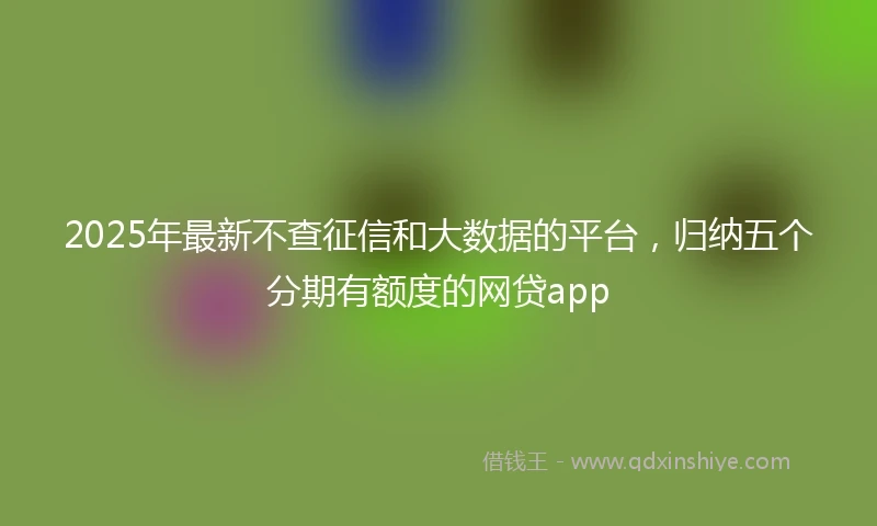 2025年最新不查征信和大数据的平台，归纳五个分期有额度的网贷app