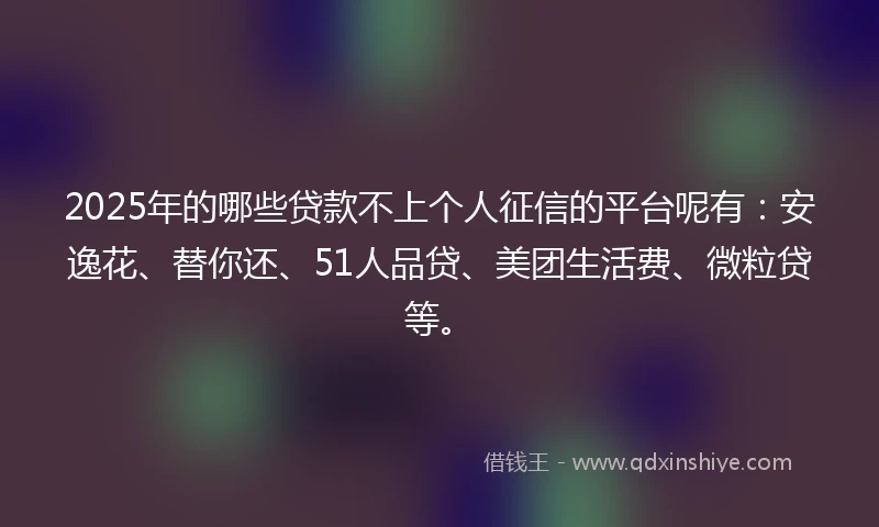 2025年的哪些贷款不上个人征信的平台呢有：安逸花、替你还、51人品贷、美团生活费、微粒贷等。