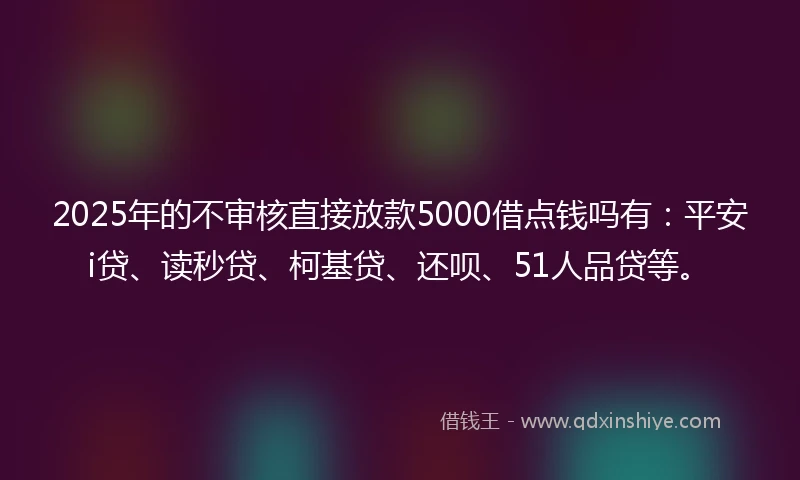 2025年的不审核直接放款5000借点钱吗有：平安i贷、读秒贷、柯基贷、还呗、51人品贷等。