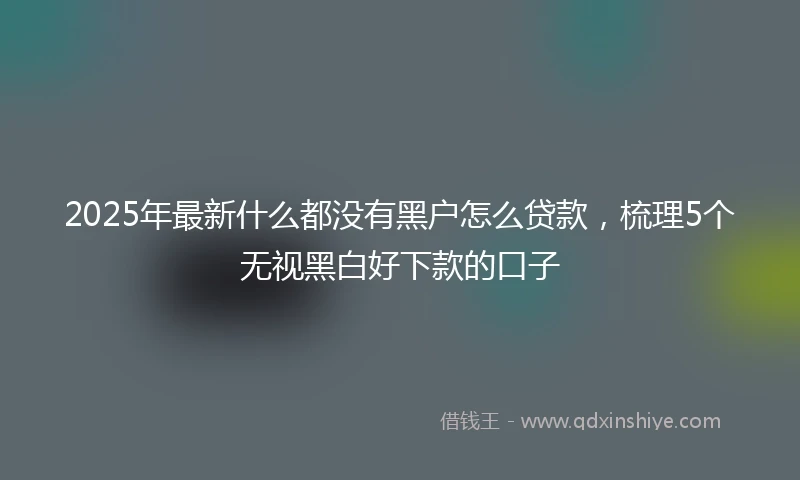 2025年最新什么都没有黑户怎么贷款，梳理5个无视黑白好下款的口子