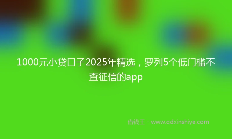 1000元小贷口子2025年精选，罗列5个低门槛不查征信的app