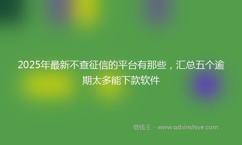 2025年最新不查征信的平台有那些，汇总五个逾期太多能下款软件